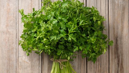Tips From The Test Kitchen: How To Store Herbs