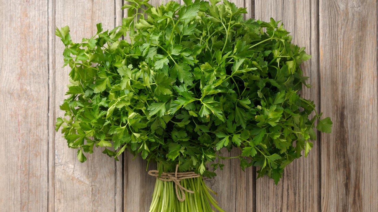 Tips From The Test Kitchen: How To Store Herbs