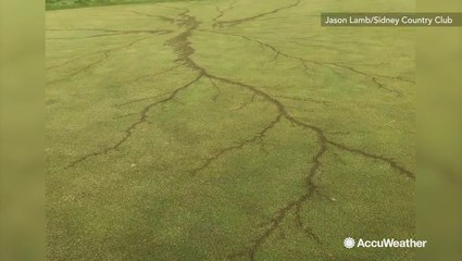 Lightning strike sears golf course with branched burn scars