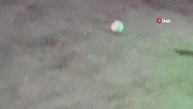 Sarıkamış'ta ayı ile top oynayan bekçi kamerada