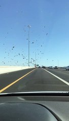 Tornado of Tumbleweeds