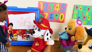 Paw Patrol Learning Video for Kids - Baby Pups No Bullying at School!