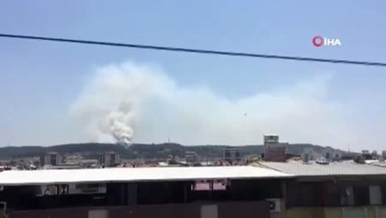 Buca'da orman yangını