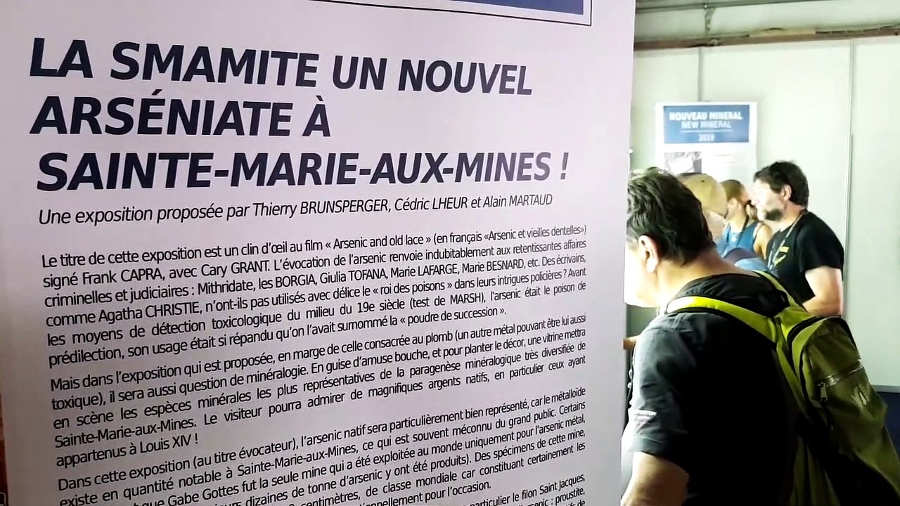 DNA - Trois questions à Nicolas Meisser, conservateur de minéralogie et pétrographie au musée cantonal de géologie de Lausanne  (à l'occasion de la Bourse aux minéraux de Sainte-Marie-aux-Mines)
