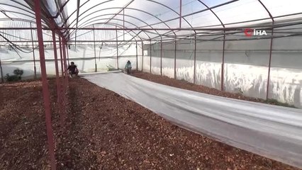 Virüse dayalı ve fungusit hastalıklarla baş edemeyen çiftçiler, seralarda solarizasyon uygulaması...