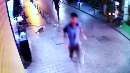 Kovaladıkları İranlı genci bıçaklayarak öldürdüler