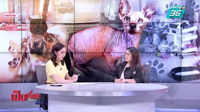 เป็นเรื่อง เป็นข่าว | คดีพลิก ? “คาเฟ่ทารุณแมว” (1/2)