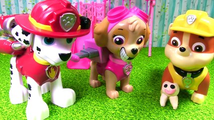 Paw Patrol Skye Loses a Tooth! Dentist Toys -