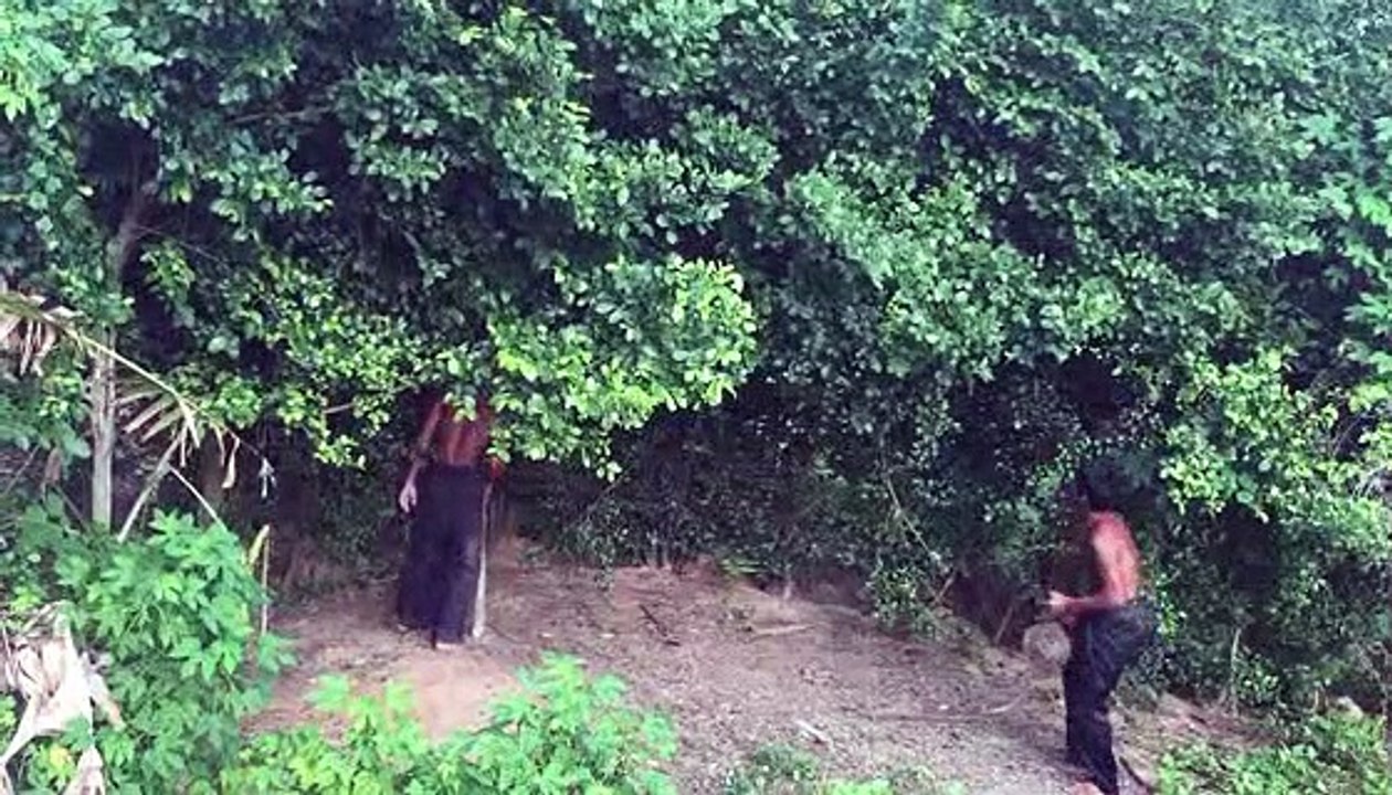 Build a mysterious house on a tree