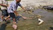 Nepali village Fishing video | Fishing with electricity | village fishing style| fishing with electric shock