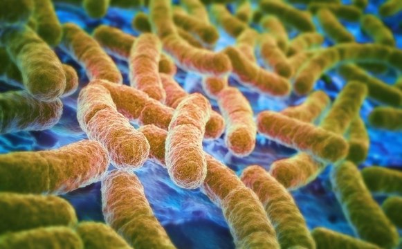 The Dangerous Power of Bacteria to Resist Antibiotics