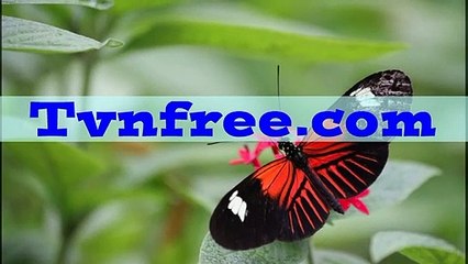 티비앤프리 미국드라마¼【【 ＴｖｎｆｒＥＥ.COM 】】¼ocn온에어 ocn온에어사이트