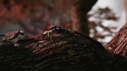 AWAY : The Survival Series - Vidéo d'annonce State of Play