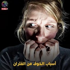فيديو معلوماتى.. فوبيا الفئران.. الأسباب والعلاج