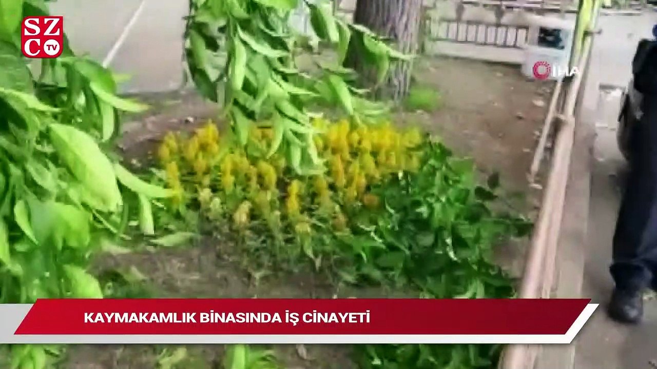 Kaymakamlık binasında iş cinayeti!