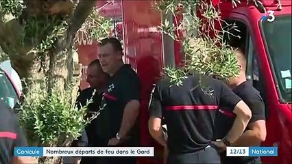 Canicule : le Gard touché par des dizaines d'incendies