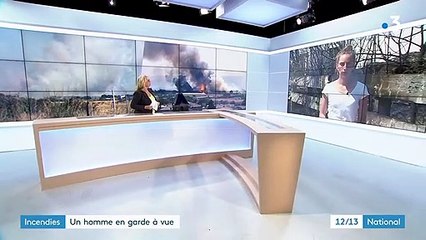 Incendies dans le Gard : à Saint-Gilles, le feu est maîtrisé