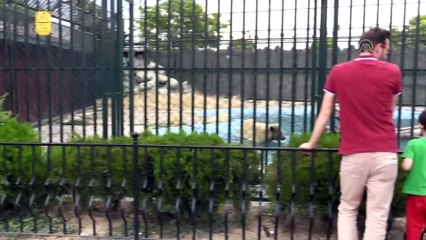 'Bozo' ile 'Muzo' buzlu kokteyl ile serinliyor - KONYA