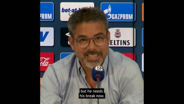 Klopp needs a break after Champions League win - Wagner