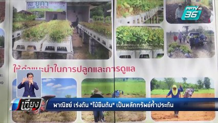 พาณิชย์ ส้รางความมั่นใจ "ไม้ยืนต้น"ใช้เป็นหลักทรัพย์ค้ำประกันสินเชื่อได้ | เที่ยงทันข่าว