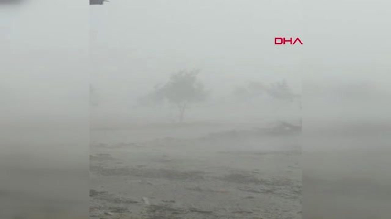 AYDIN Karacasu'da olumsuz hava sebze bahçelerine zarar verdi