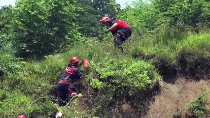 Şarampole devrilen otomobilde yangın - SAKARYA