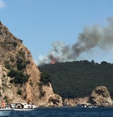 Heybeliada'daki yangının ve söndürme anının görüntüleri