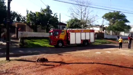 Barracões da Cootacar são novamente atingidos por incêndio