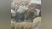 ŞANLIURFA Milli Eğitim Müdürü'nün aracının önünü kesip sopayla saldırdılar