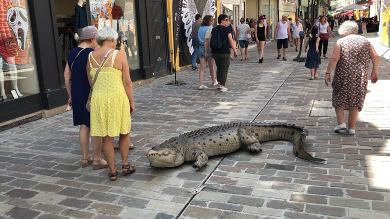 Les animations de Love Alençon