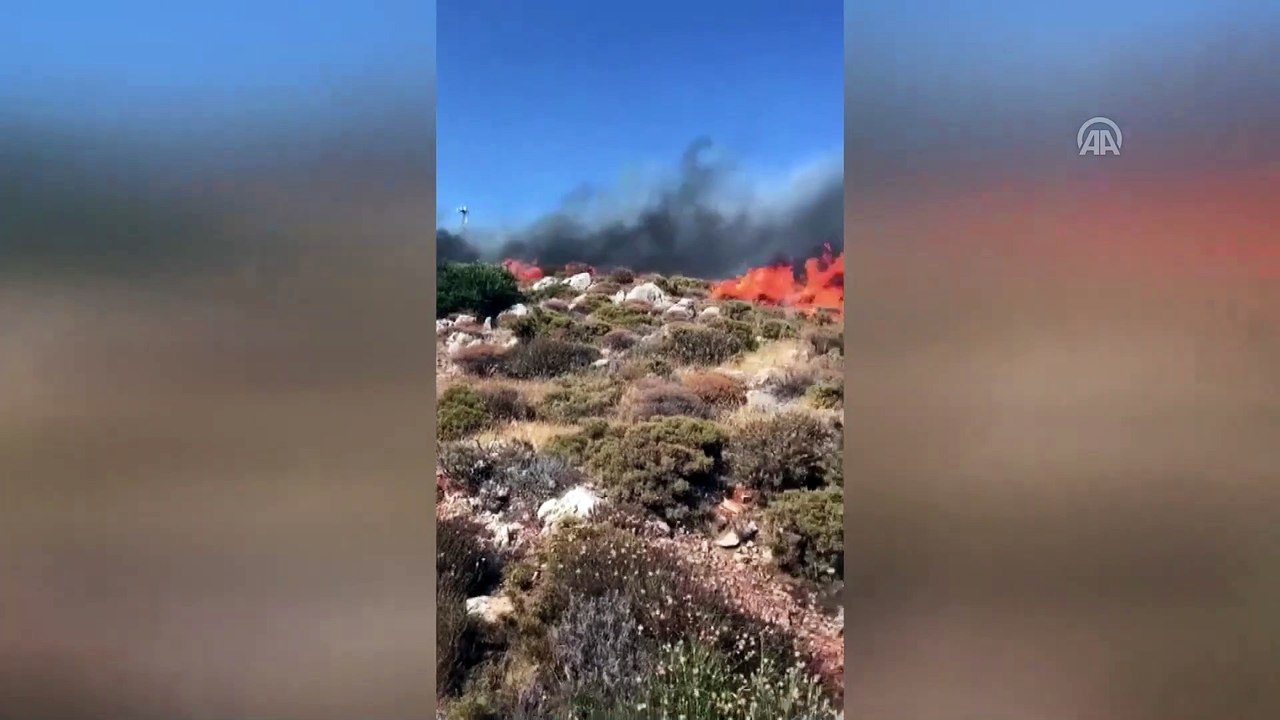 Muğla'da orman yangını (2)