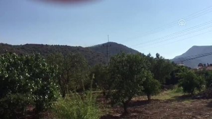 Muğla'da orman yangını