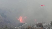 Muğla - Datça'da makilik alanda yangın