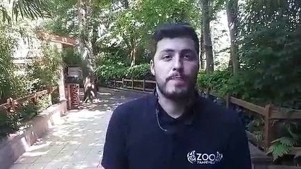 Thomas Grangeat, responsable pédagogique au zoo d'Amnéville, après la mort de Watson l'otarie