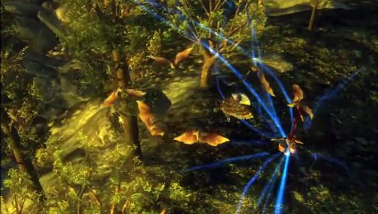 Legend of the Guardians- The Owls of Ga'Hoole Walkthrough Part 14 (PS3, X360, Wii)