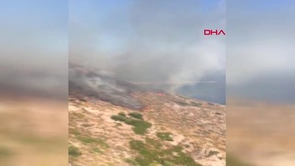 Muğla - Datça'da makilik alanda yangın
