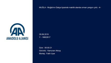 Muğla'da orman yangını (4)