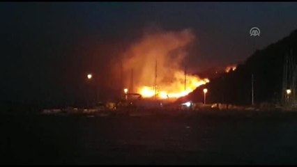 Muğla'da orman yangını (4)