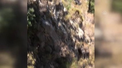 Kelebekler Vadisi'nde mahsur kalan kişi kurtarıldı
