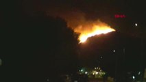 Muğla - Datça'da makilik alanda yangın