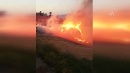 Malatya'da ot, anız ve bahçe yangınları
