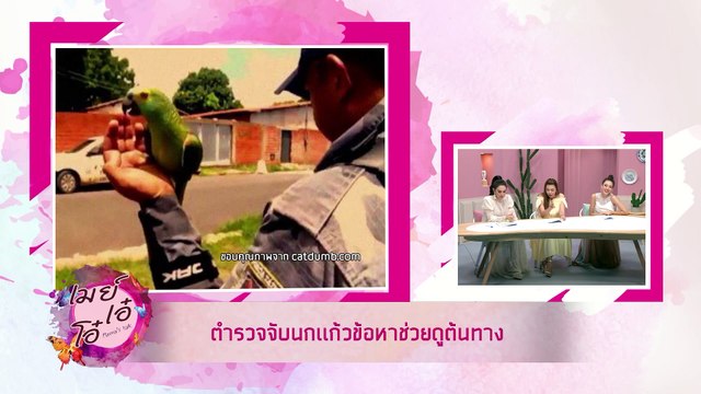 เมย์ เอ๋ โอ๋ Mama’s talk | แชร์เรื่องแปลกจากรอบโลกกับเมย์ เอ๋ โอ๋ Mama’s talk | 21 พ.ค. 62 (2/3)