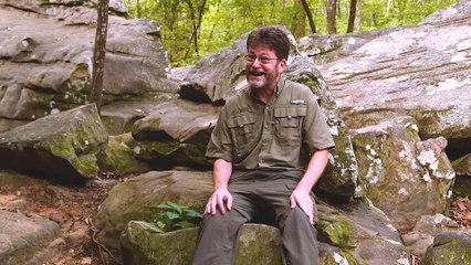 Grumpy's Field Guide To Dangerous Spiders