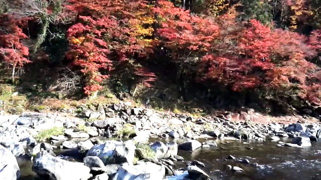 （たおやかインターネット放送）たおやか瓦版小さな旅④江戸時代の面影残す商家町として栄えた足助Asuke who prospered as a small town with a long history of leaving small towns 4 Edo period