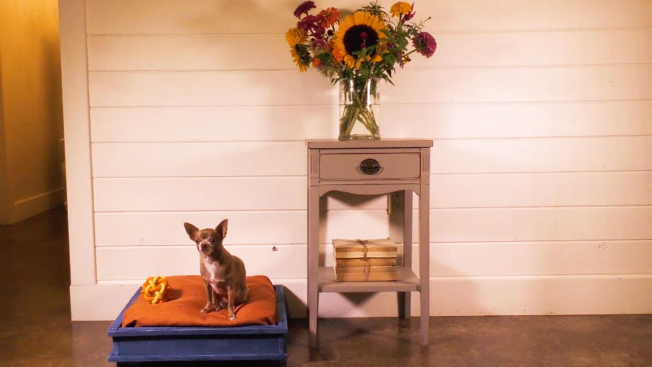 DIY Dog Bed
