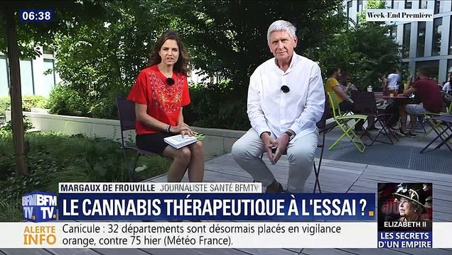 Le cannabis thérapeutique à l'essai ?