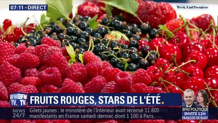 Fruits rouges, stars de l'été