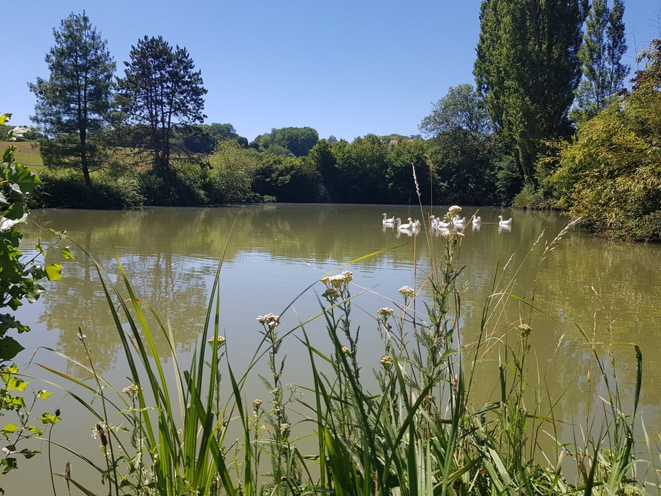 La guerre de l'eau