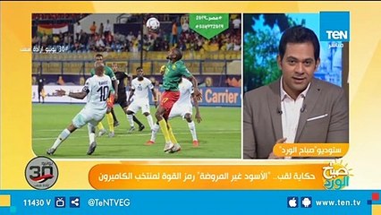 منتخب السناجب والأسود غير المروضة.. حكايات خلف ألقاب المنتخبات الإفريقية