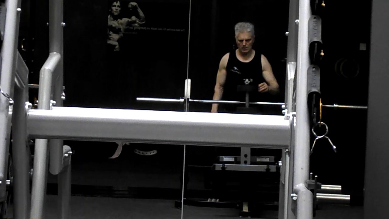 Ein Silberrücken vor dem Spiegel